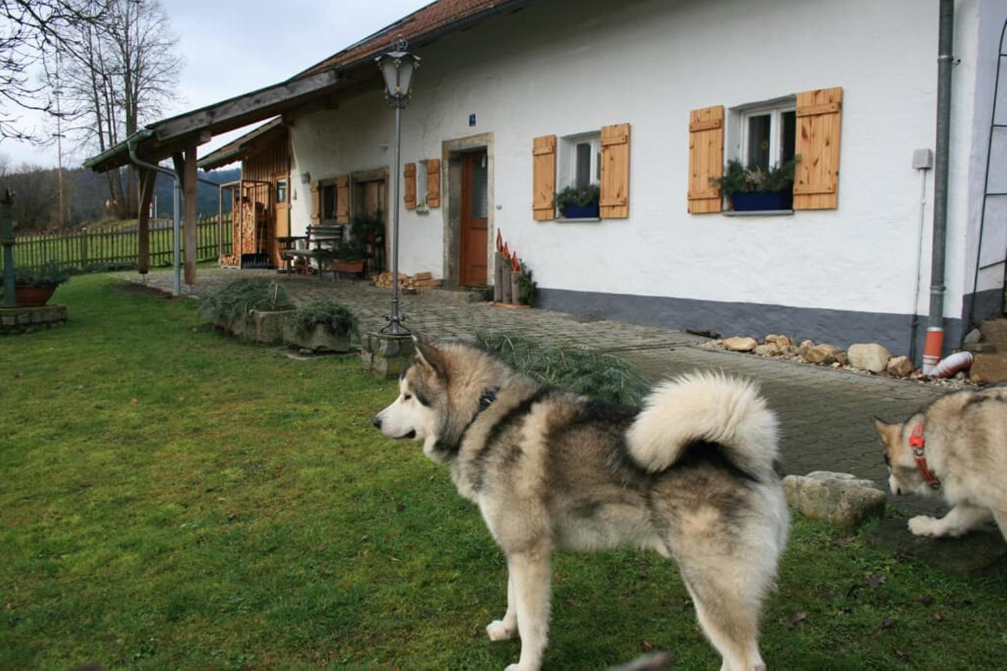 Ferienhaus Winter 블라이바흐 외부 사진